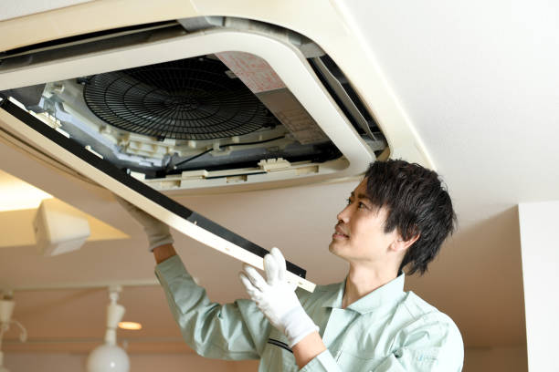 Best HVAC System Cleaning  in St Petersburg, FL